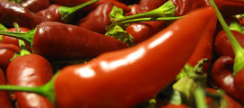 Capsicum_peperoncino