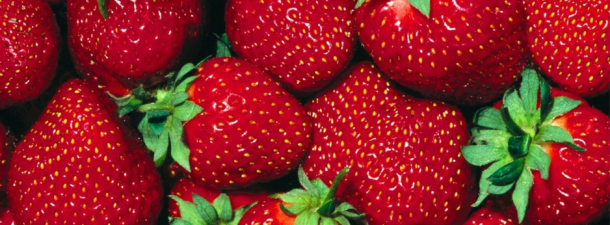 Fragole